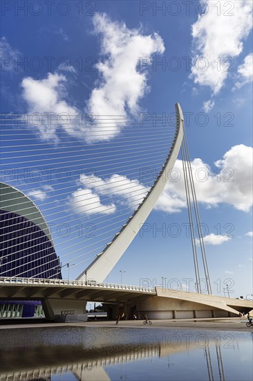 Cable-stayed bridge in the shape of a harp