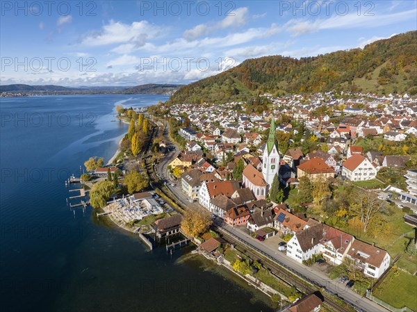 Aerial view of the village of Sipplingen on Lake Constance with autumn vegetation