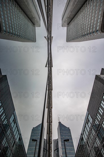 Cityscape on the Main with the skyline in the evening