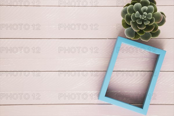 Decorative plant frame with copy space