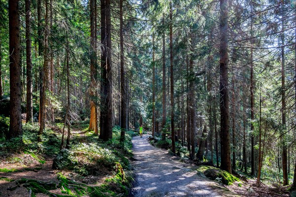 Hiking trail