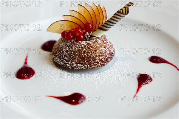 Beautiful Design Chocolate Mousse Dessert with fruit on a Plate in Switzerland