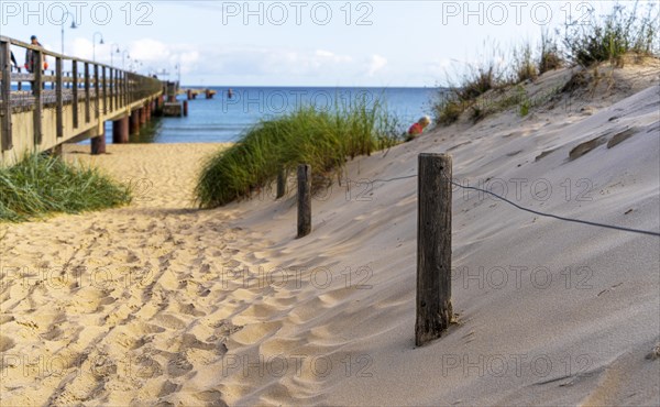 Beach access with sand dunes