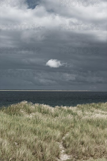 Barren dune landscape