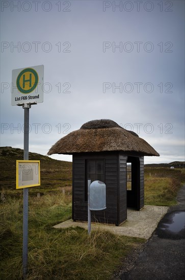 Bus stop with thatched roof
