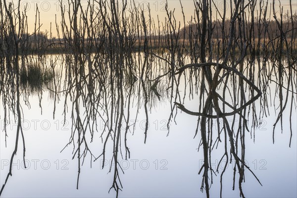 Moorland