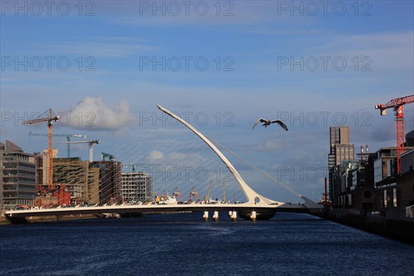 Samuel Beckett Bridge