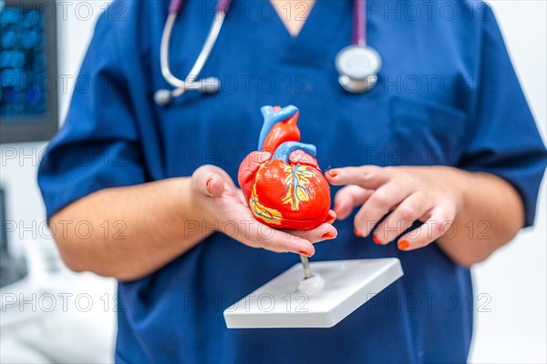Close-up photo of a cardiologist holding a plastic heart shape model that helps to give information