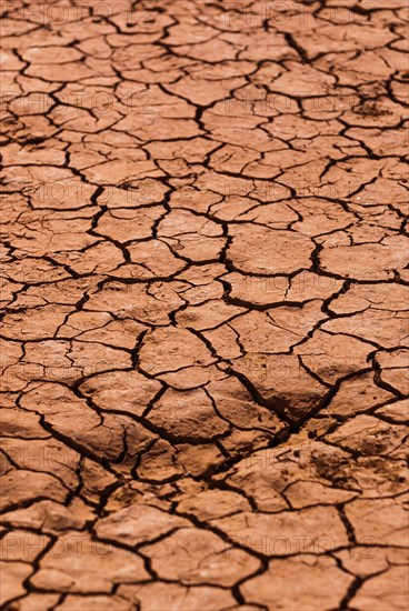 Parched soil due to drought