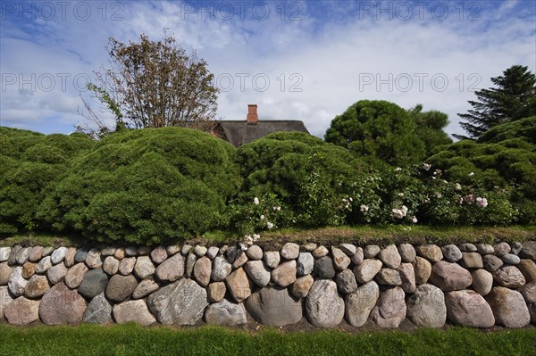 Thatched houses