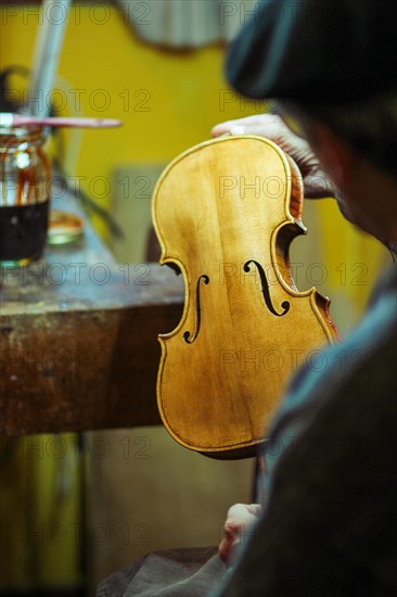 Senior expert violin maker luthier