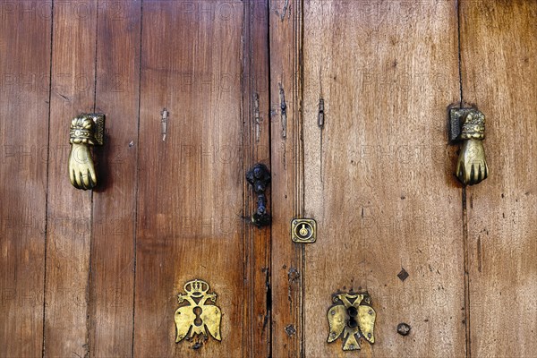 Door knocker