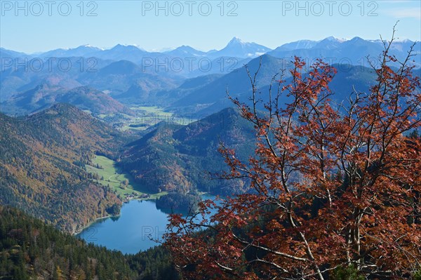 View from Herzogstand to Walchensee