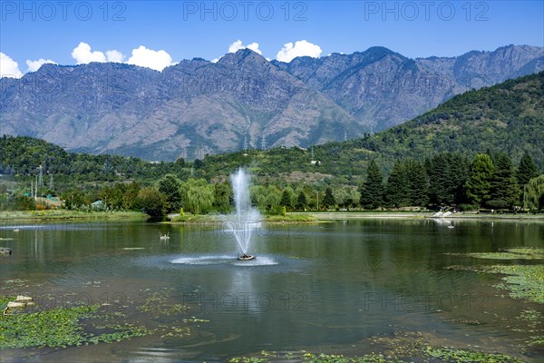 Jawaharlal Nehru Memorial Botanical Gardens in Srinagar