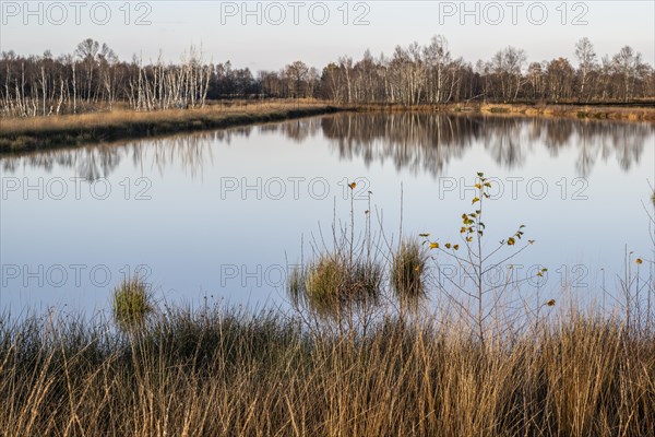Moorland