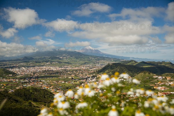 Panorama from Mirador de Jardina to San Cristobal de La Laguna