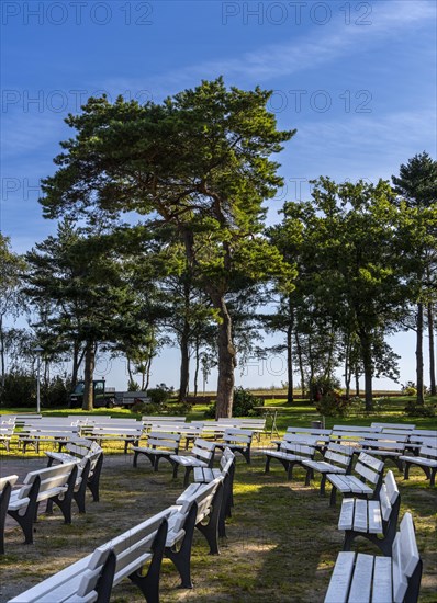 White benches in the park