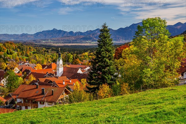 Local view in autumn with Murnauer moss