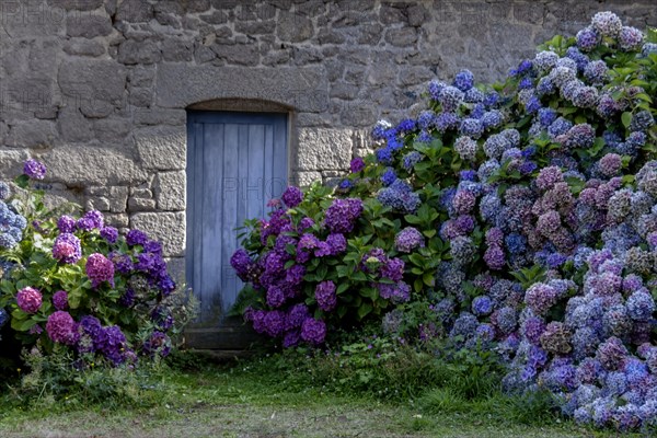 Blue door in a typical granite house