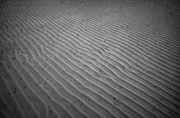 Sand ripples