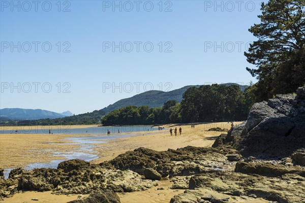 Beach and coast