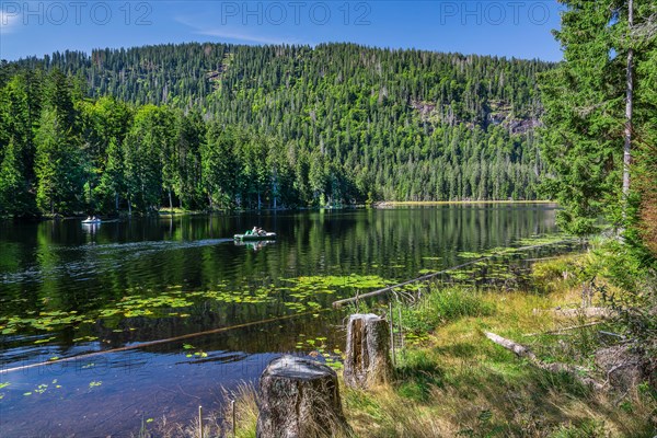 Nature reserve Grosser Arbersee with lake wall 1340m