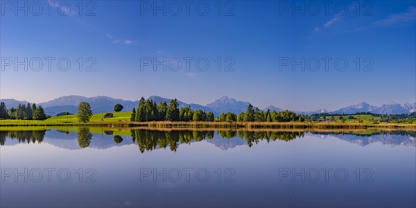 Panorama at Schmutterweiher