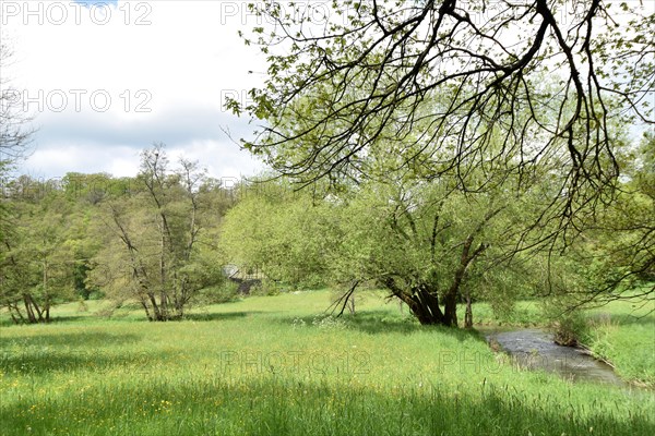 Extensively used meadows in the valley of the Nahe tributary Kyrbach near Oberkirn in the Hunsrueck in summer