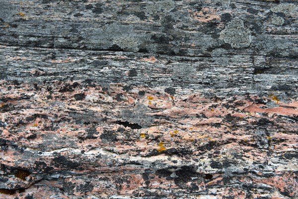 Glacier-carved rocks in the Norwegian archipelago