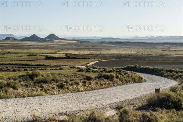 Road in the semi-desert