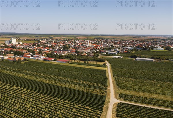 Drone view of Deutschkreutz with vineyards