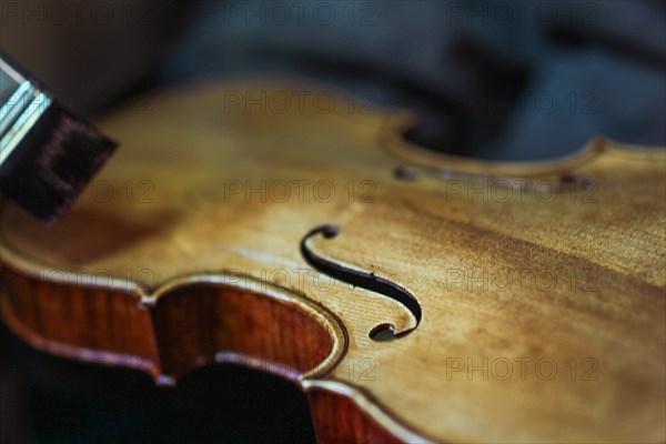 Senior expert violin maker luthier