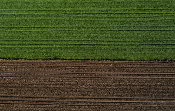 Drone view of green and ploughed fields