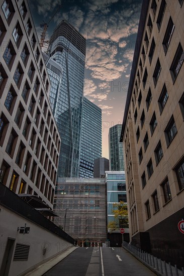 Cityscape on the Main with the skyline in the evening
