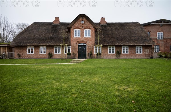 Frisian house with thatched roof