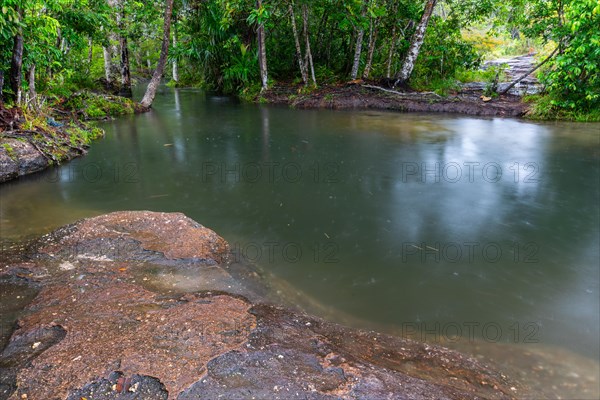 Cano Piedras