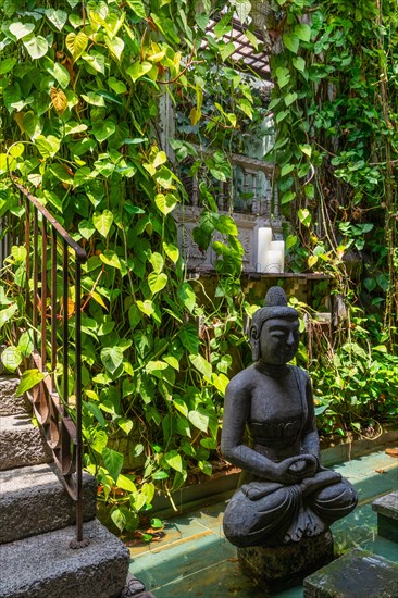 Green courtyard of a restaurant