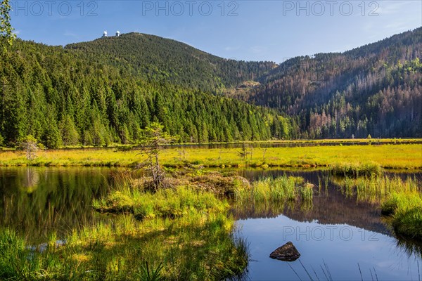 Nature reserve Kleiner Arbersee with floating islands and Grosser Arber 1456m