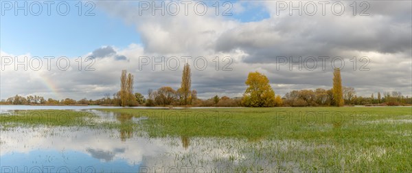 Flooded meadow after heavy rains. Autumn landscape. Bas-Rhin