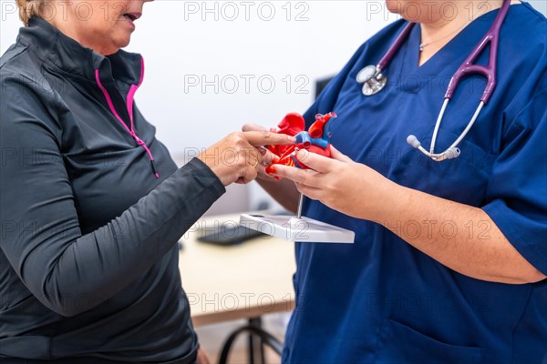 Cardiologist doctor in the cardiology clinic showing the problem to the patient on a heart model