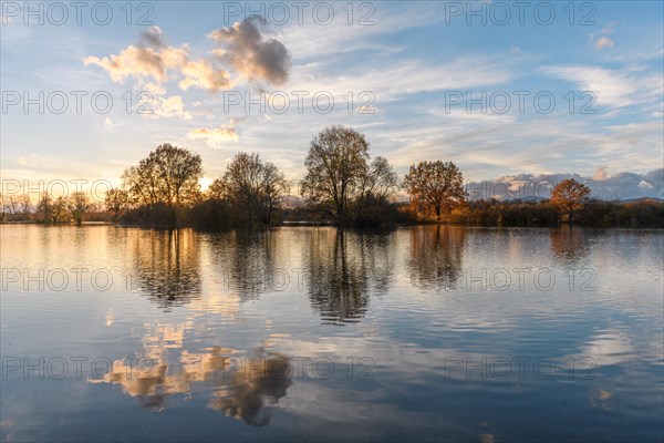 Reflected trees in a flooded meadow after heavy storms. Landscape in autumn. Bas-Rhin