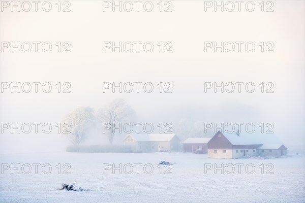 Farm in the countryside by a field a cold foggy winter