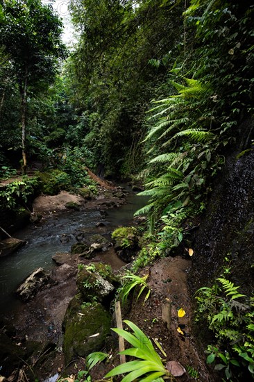 Tibumana waterfall