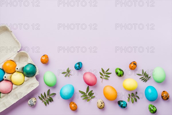 Bright collection row colored eggs near container leaves