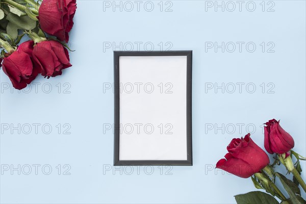 Bunches red flowers frame
