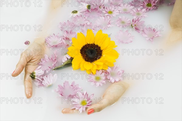 Close up woman s hand with yellow pink flowers floating water