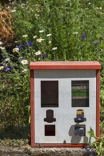 Chewing gum vending machine from the 1950s