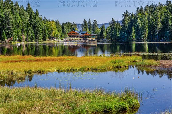 Nature reserve Grosser Arbersee with Arberseehaus