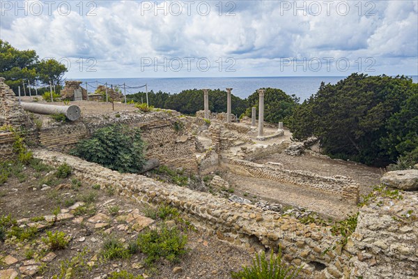 Antique Villa Romana with view of Giglio Island