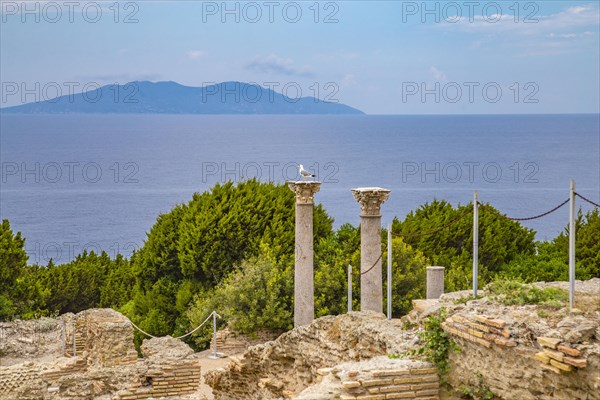 Antique Villa Romana with view of Giglio Island